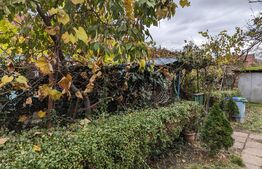 Casa parter, curte comuna, 3 camere, Su=80mp, St=271mp, Blascovici