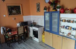 Casa parter, curte comuna, 3 camere, Su=80mp, St=271mp, Blascovici