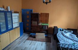 Casa parter, curte comuna, 3 camere, Su=80mp, St=271mp, Blascovici