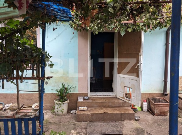 Casa de vânzare 3 camere Blascovici - 130653CV | BLITZ Timișoara | Poza2