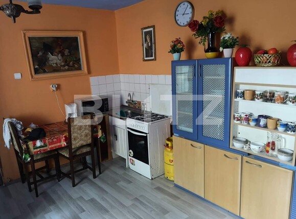 Casa de vânzare 3 camere Blascovici - 130653CV | BLITZ Timișoara | Poza8