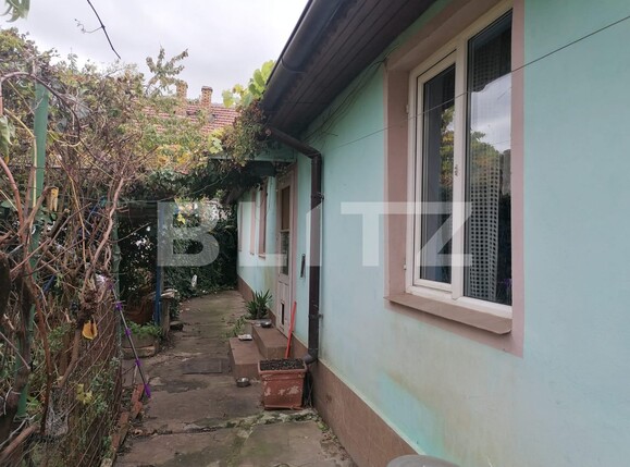 Casa de vânzare 3 camere Blascovici - 130653CV | BLITZ Timișoara | Poza1