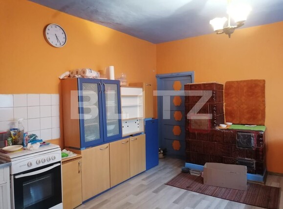 Casa de vânzare 3 camere Blascovici - 130653CV | BLITZ Timișoara | Poza9