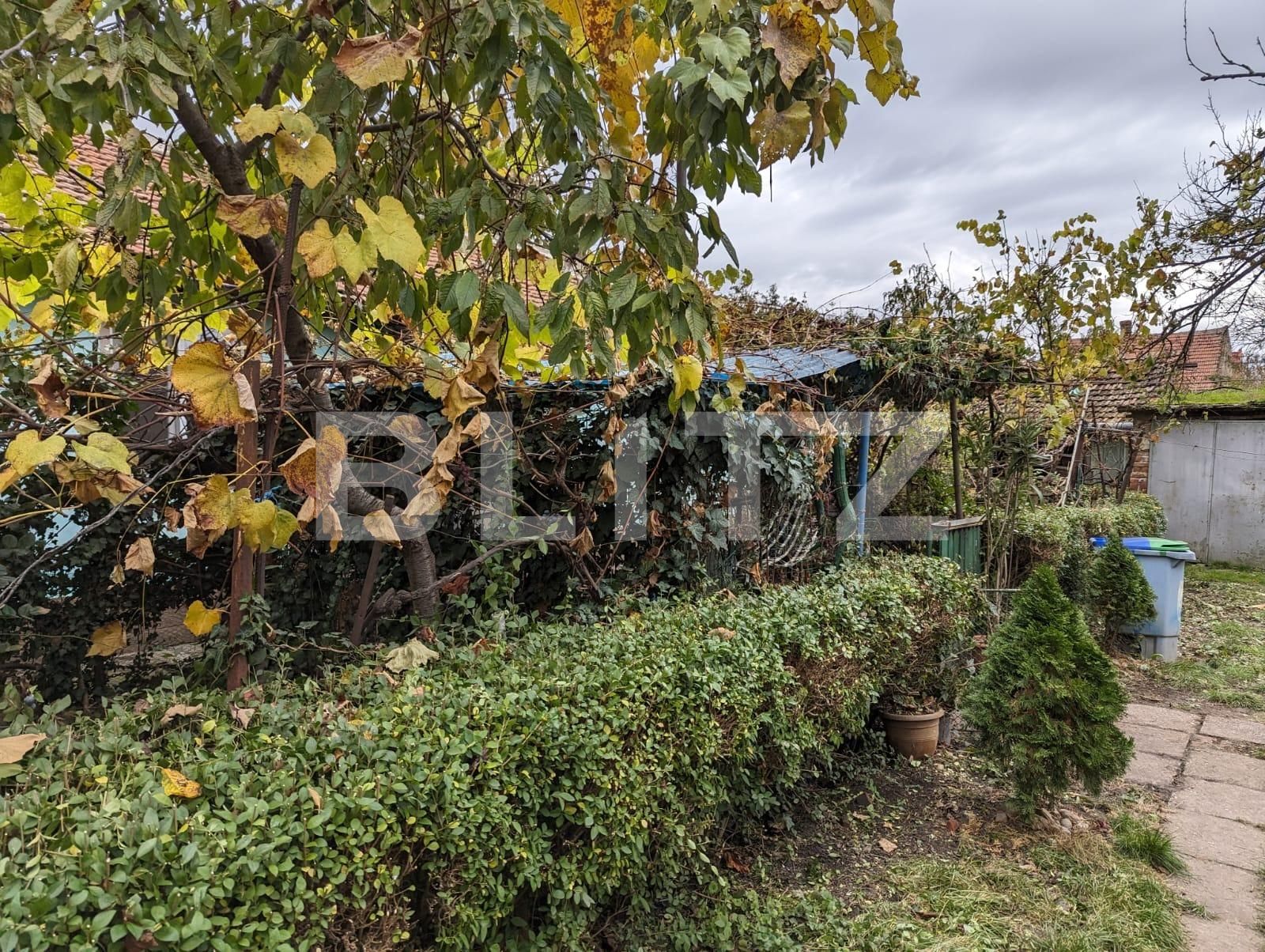 Casa de vânzare 3 camere Blascovici - 130653CV | BLITZ Timișoara | Poza3