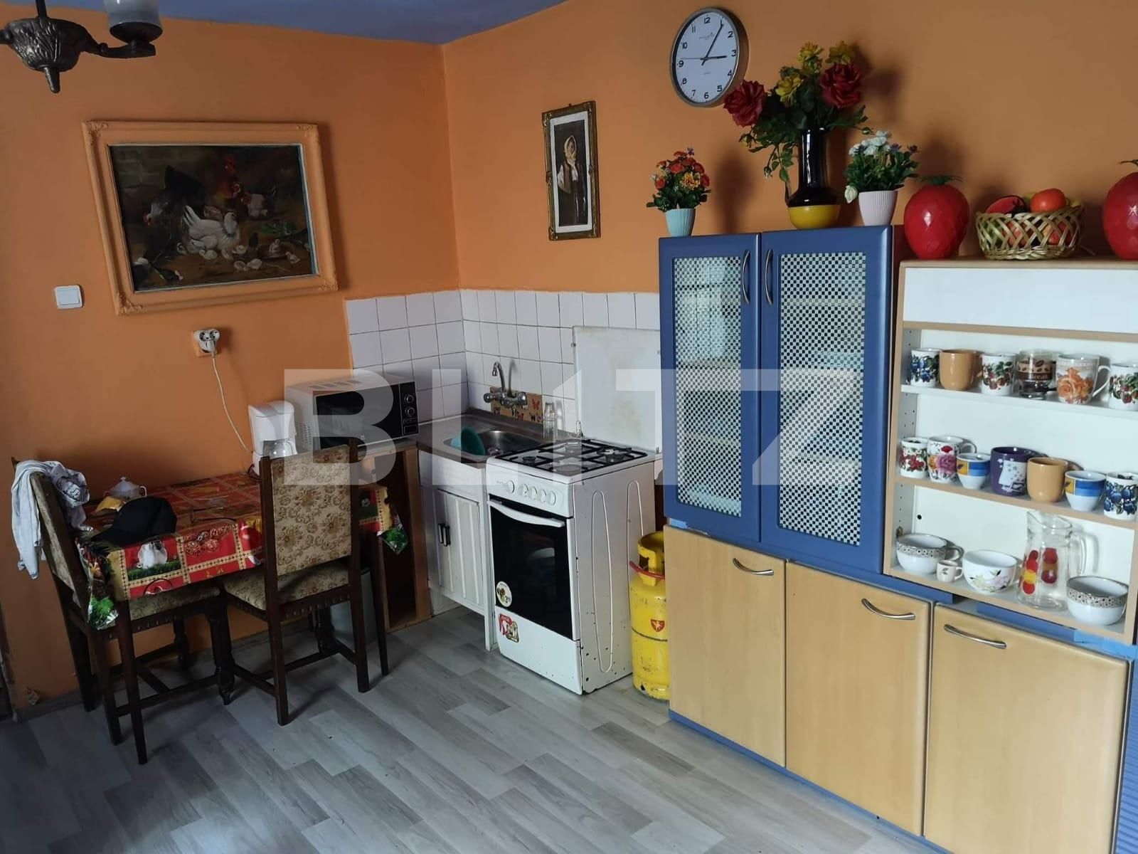Casa de vânzare 3 camere Blascovici - 130653CV | BLITZ Timișoara | Poza8