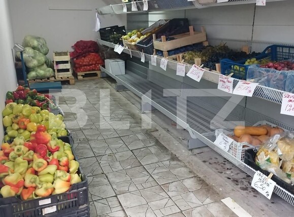 Spațiu comercial de vânzare Soarelui - 130702SVC | BLITZ Timișoara | Poza3