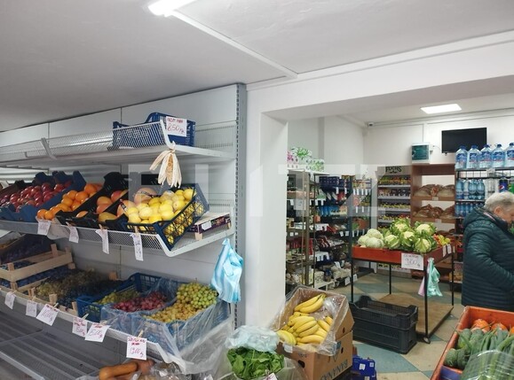 Spațiu comercial de vânzare Soarelui - 130702SVC | BLITZ Timișoara | Poza1