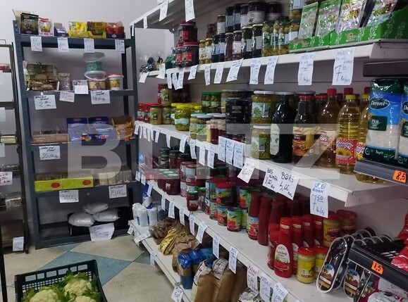 Spațiu comercial de vânzare Soarelui - 130702SVC | BLITZ Timișoara | Poza7