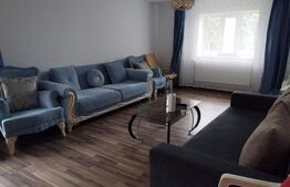 Casa 10 camere, teren 3763 mp, 240 utili, Peciu Nou