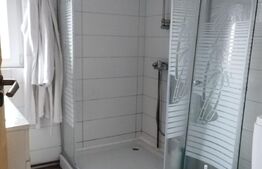 Casa 10 camere, teren 3763 mp, 240 utili, Peciu Nou