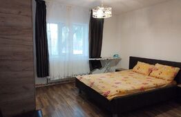 Casa 10 camere, teren 3763 mp, 240 utili, Peciu Nou