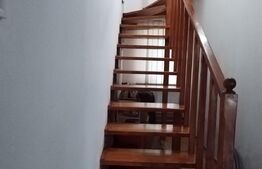 Casa 10 camere, teren 3763 mp, 240 utili, Peciu Nou