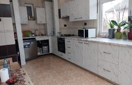 Casa 10 camere, teren 3763 mp, 240 utili, Peciu Nou