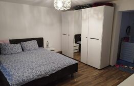 Casa 10 camere, teren 3763 mp, 240 utili, Peciu Nou