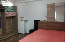 Casa 10 camere, teren 3763 mp, 240 utili, Peciu Nou