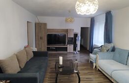 Casa 10 camere, teren 3763 mp, 240 utili, Peciu Nou