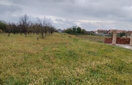 Casa 10 camere, teren 3763 mp, 240 utili, Peciu Nou