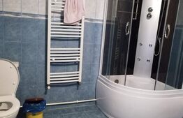 Casa 10 camere, teren 3763 mp, 240 utili, Peciu Nou