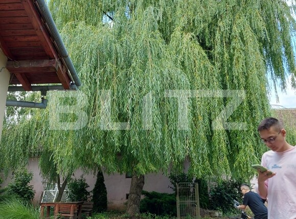 Casa de vânzare 10 camere Exterior Sud - 130812CV | BLITZ Timișoara | Poza17