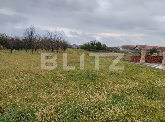 Casa de vânzare 10 camere Exterior Sud - 130812CV | BLITZ Timișoara | Poza18