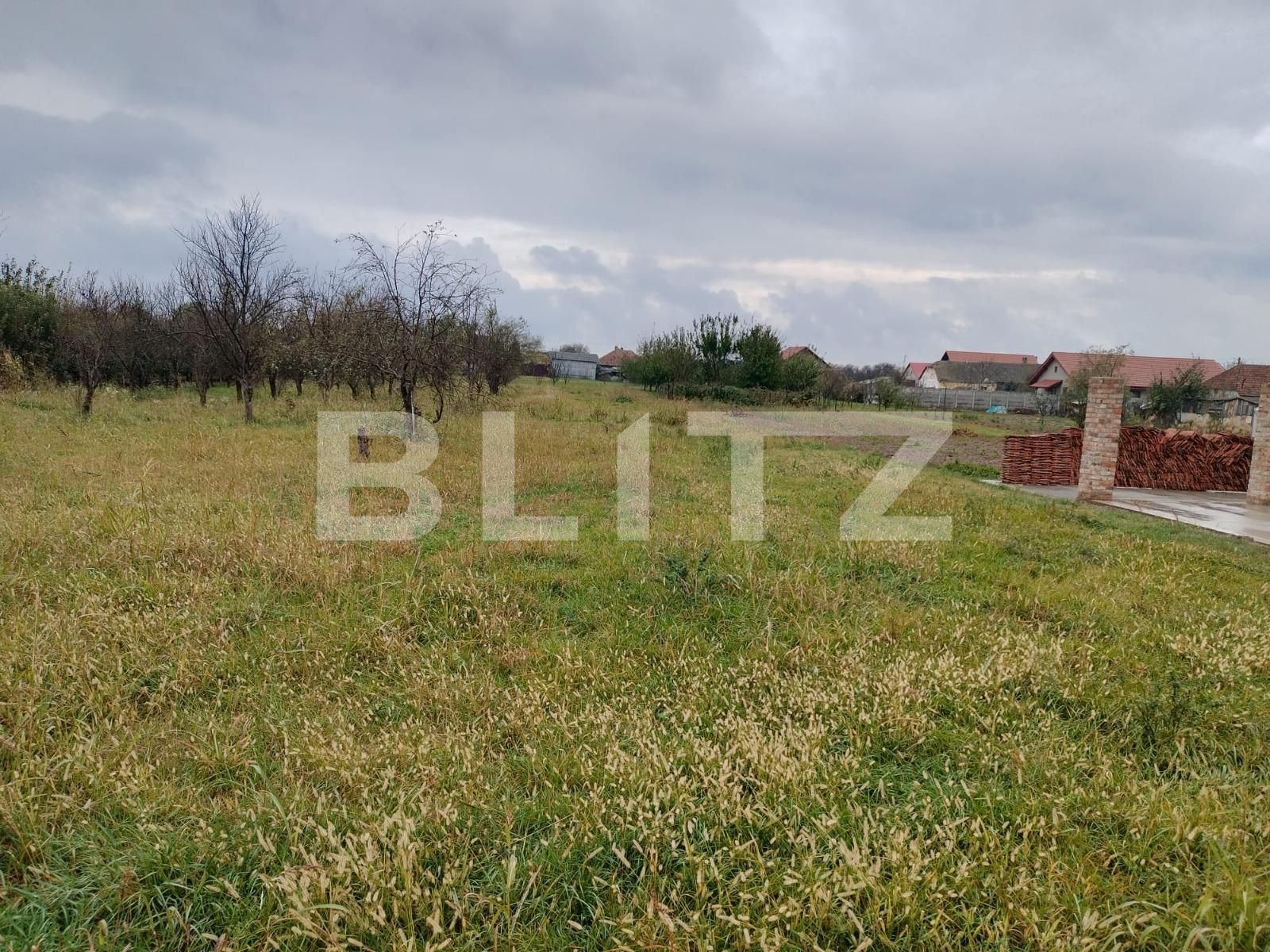 Casa de vânzare 10 camere Exterior Sud - 130812CV | BLITZ Timișoara | Poza18