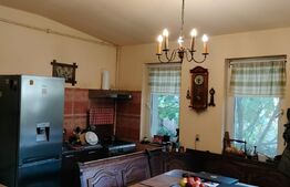 Casa de 4 camere, 100mp, Ronat