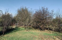 Casa de 4 camere, 100mp, Ronat