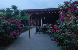 Casa de 4 camere, 100mp, Ronat