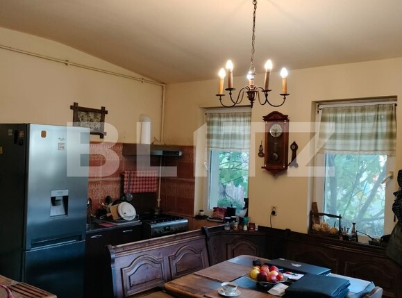 Casa de vânzare 4 camere Ronat - 130843CV | BLITZ Timișoara | Poza15