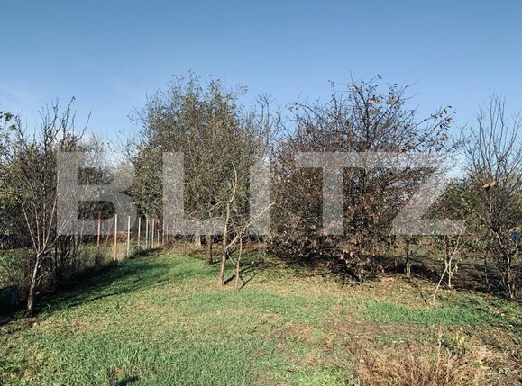 Casa de vânzare 4 camere Ronat - 130843CV | BLITZ Timișoara | Poza5