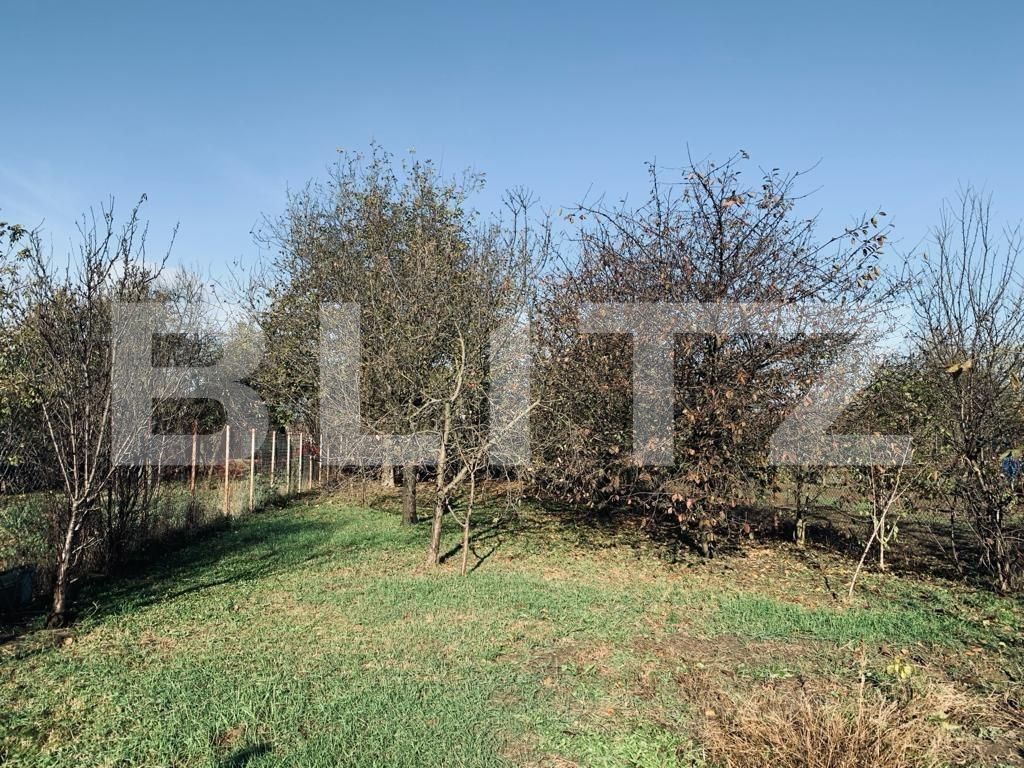 Casa de vânzare 4 camere Ronat - 130843CV | BLITZ Timișoara | Poza5