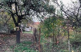 Casa 4 camere, 100 mp,   zona Lipovei