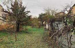 Casa 4 camere, 100 mp,   zona Lipovei