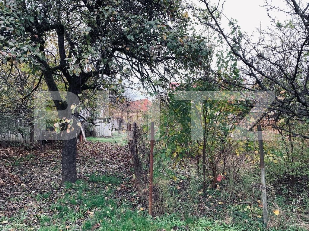 Casa de vânzare 4 camere Lipovei - 130862CV | BLITZ Timișoara | Poza7