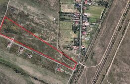  Teren extravilan, 50.000 mp, Rudicica