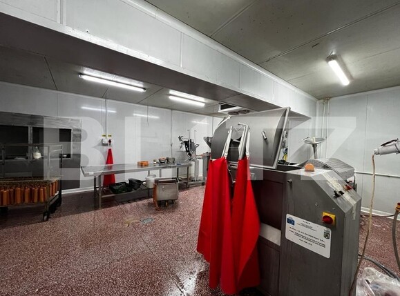 Spațiu industrial de vânzare Recas - 130894SVI | BLITZ Timișoara | Poza12