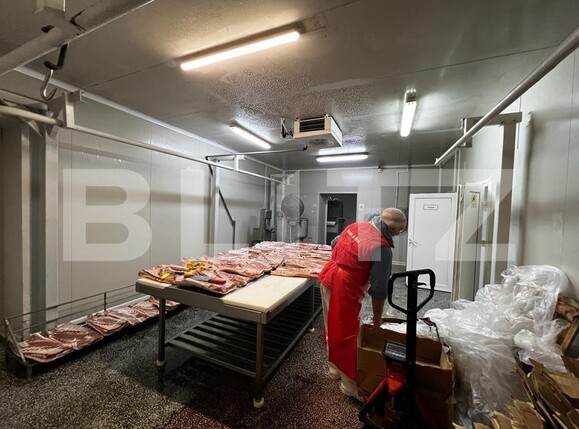 Spațiu industrial de vânzare Recas - 130894SVI | BLITZ Timișoara | Poza7