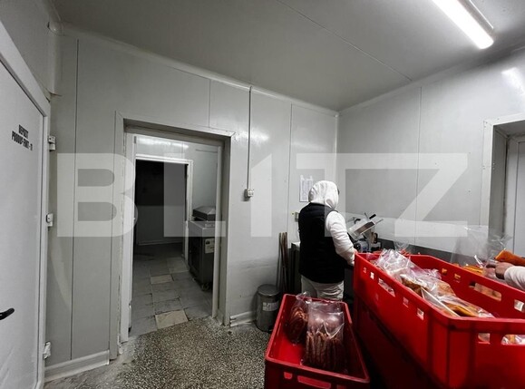 Spațiu industrial de vânzare Recas - 130894SVI | BLITZ Timișoara | Poza18