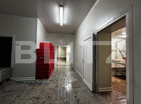 Spațiu industrial de vânzare Recas - 130894SVI | BLITZ Timișoara | Poza14