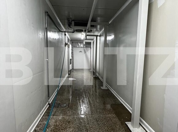 Spațiu industrial de vânzare Recas - 130894SVI | BLITZ Timișoara | Poza17