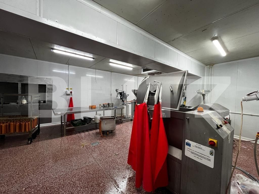 Spațiu industrial de vânzare Recas - 130894SVI | BLITZ Timișoara | Poza12