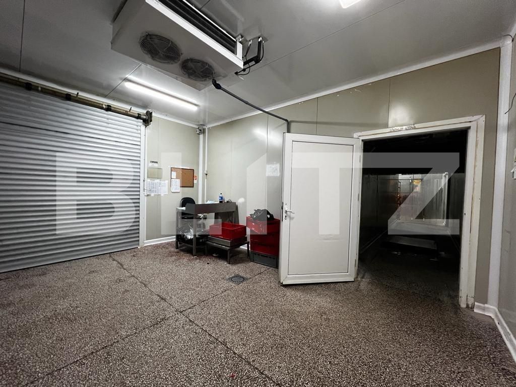 Spațiu industrial de vânzare Recas - 130894SVI | BLITZ Timișoara | Poza6