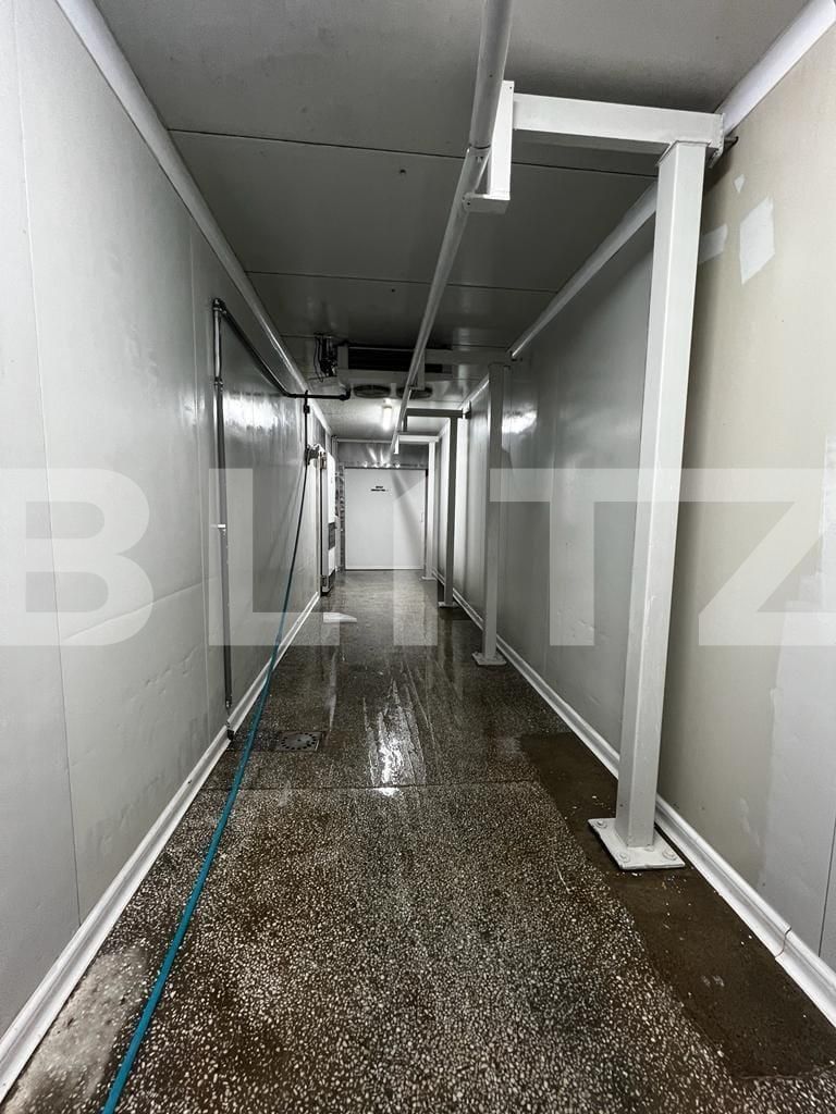 Spațiu industrial de vânzare Recas - 130894SVI | BLITZ Timișoara | Poza17