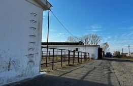 Ocazie, ferma agricola, 598 HA teren, masini agricole, spatii depozitare, Recas