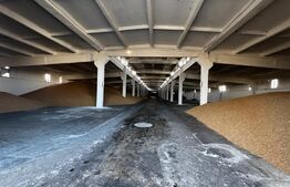 Ocazie, ferma agricola, 598 HA teren, masini agricole, spatii depozitare, Recas