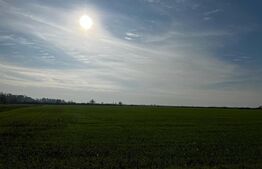 Ocazie, ferma agricola, 598 HA teren, masini agricole, spatii depozitare, Recas