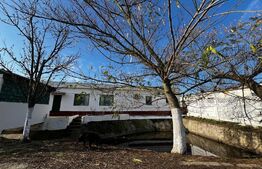 Ocazie, ferma agricola, 598 HA teren, masini agricole, spatii depozitare, Recas