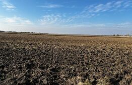 Ocazie, ferma agricola, 598 HA teren, masini agricole, spatii depozitare, Recas