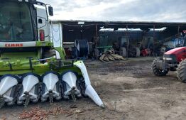 Ocazie, ferma agricola, 598 HA teren, masini agricole, spatii depozitare, Recas