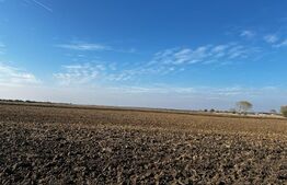 Ocazie, ferma agricola, 598 HA teren, masini agricole, spatii depozitare, Recas